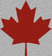 Maple Leaf
